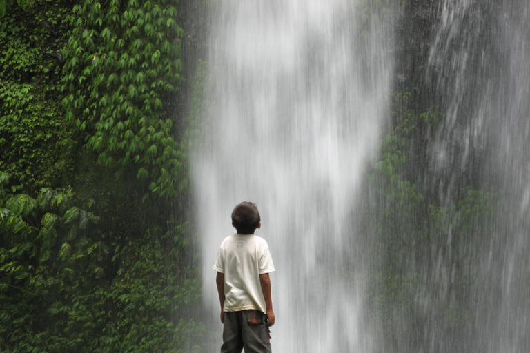 Lombok: Sendang Gile Waterfall & Pusuk Pass Day Trip Small Group Tour without Entrance Fees