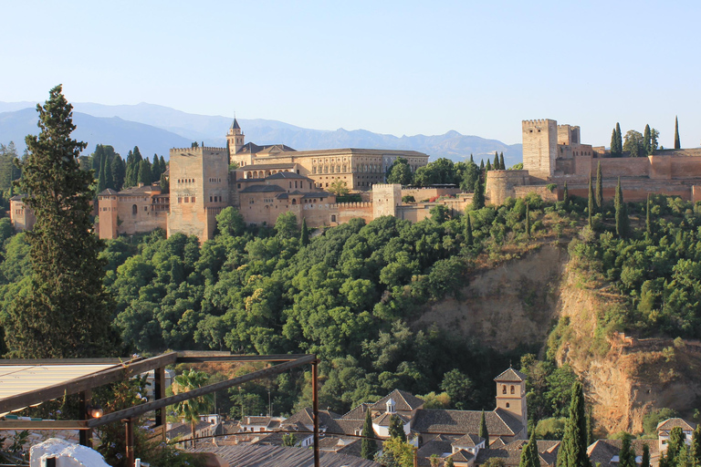 From Nerja: Granada Full-Day Trip