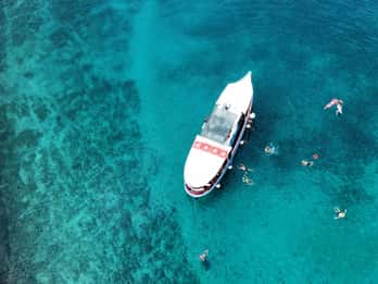 Podstrana: Full-Day Boat Trip to Brač and Shipwreck Kontesa