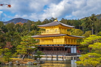 From Osaka/Kyoto, Kyoto & Nara Bus Tour w/ Kinkakuji Ticket - Housity