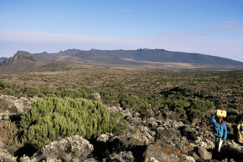 莫希：乞力马扎罗山马兰古路线 2 日徒步