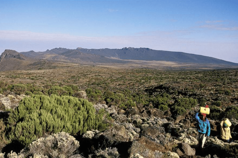 莫希：乞力马扎罗山马兰古路线 2 日徒步