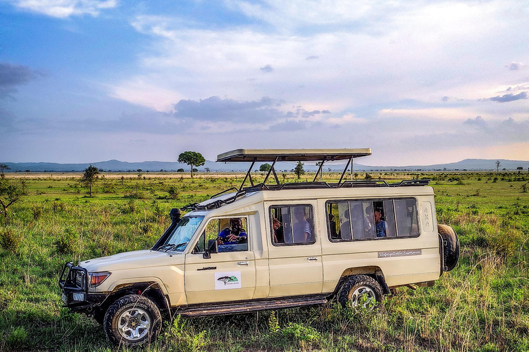 2 Days Tarangire and Ngorongoro Mid Luxury Safari &amp; Flights