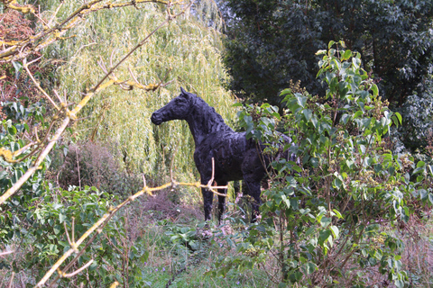 Cambridge: Grantchester Bike Tour