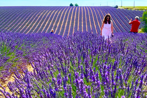 From Avignon: Lavender Tour in Valensole and Sault From Avignon: Full-day tour around Valensole