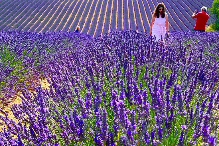 Z Awinionu: lawendowa wycieczka do Valensole i SaultZ Awinionu: całodniowa wycieczka po Valensole