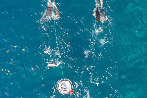 Underwater fishing in Martinique Martinique Underwater Hunting
