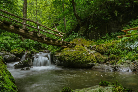 Batumi: Makhuntseti Waterfall, Mountains, Local Wine & Folk
