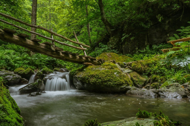 Batumi: Makhuntseti Waterfall, Mountains, Local Wine & Folk