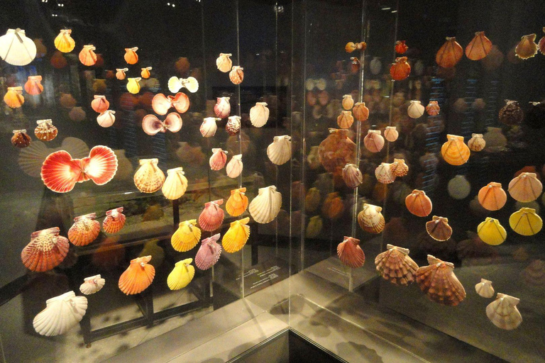 Houston: Museum of Natural Science Entry & Digital Tour