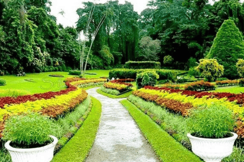 Two-Day Comprehensive Kandy and Nuwara Eliya Exploration Pac