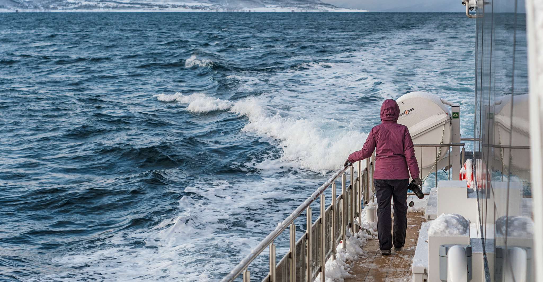 Tromsø, Whale Watching Tour by Hybrid-Electric Catamaran - Housity