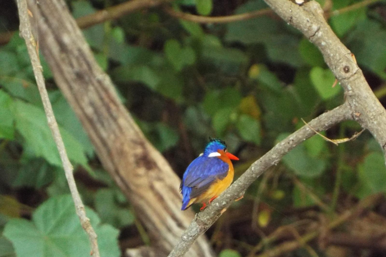 Kilimandscharo: Materuni-Wasserfälle & Kaffeetour mit LunchWasserfälle und Kaffeetour mit Abholung in Arusha