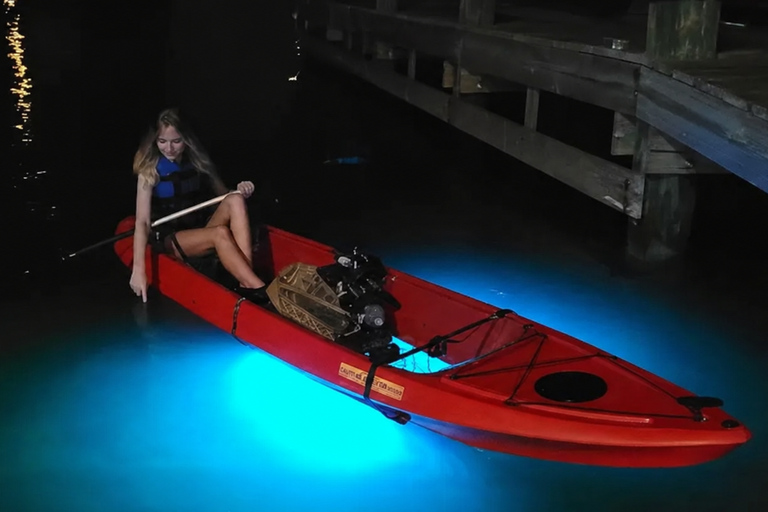 Florida: LED Night Kayak Tour with Comb Jellies Group Tandem Clear Bottom Night Tour