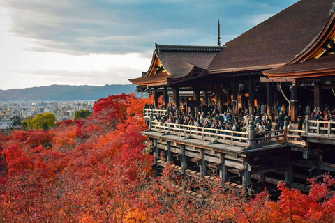 Kyoto/Nara: Exclusive Private Guided Tour with Hotel Pickup