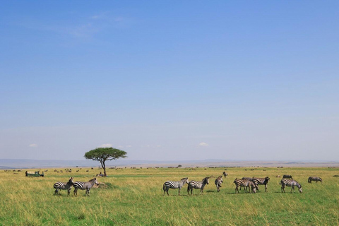 Nairobi: Amboseli National Park Guided Day Trip