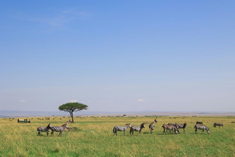 Nairobi: Amboseli National Park Guided Day Trip