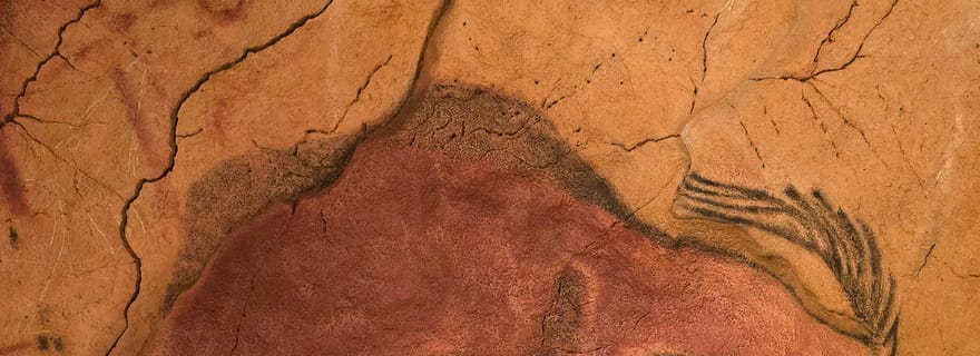 Visite privée du musée d'Altamira et de la Neocave : la fascination de la préhistoire