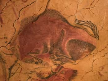 Tour privato del Museo di Altamira e della Neocave: il fascino della preistoria