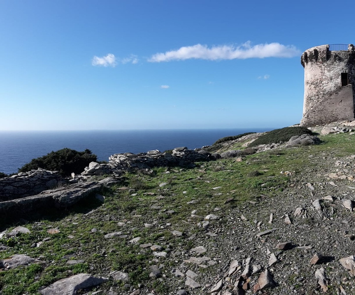 Stintino: Trekking Tour in Capo Falcone