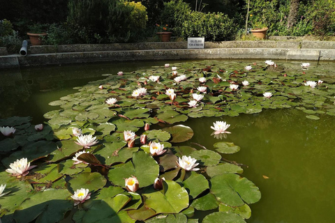 Baku: Fauna and Flora Tour