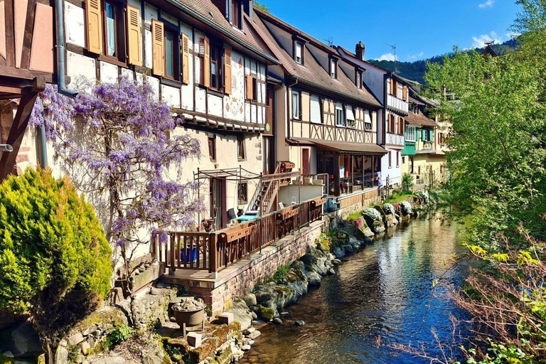Colmar: Day trip through several typical Alsatian villages