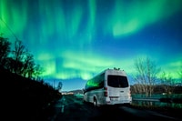 Tromsø, tour de minibus Northern Lights Chase avec feu de camp - Hizvo