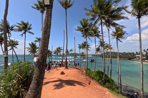 From Kandy: Sigiriya & Dambulla Day Tour with Safari