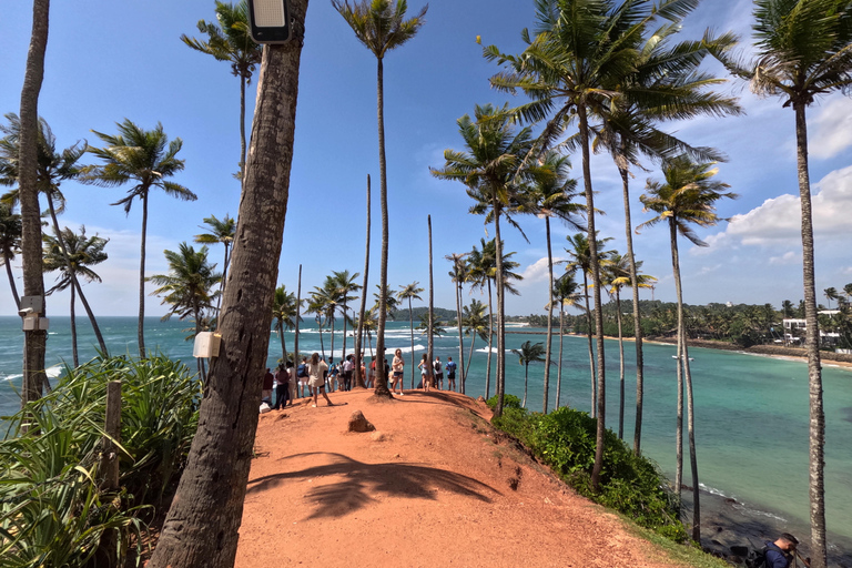 From Kandy: Sigiriya & Dambulla Day Tour with Safari