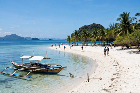 Coron: Reefs & Wrecks Snorkeling Tour with Lunch