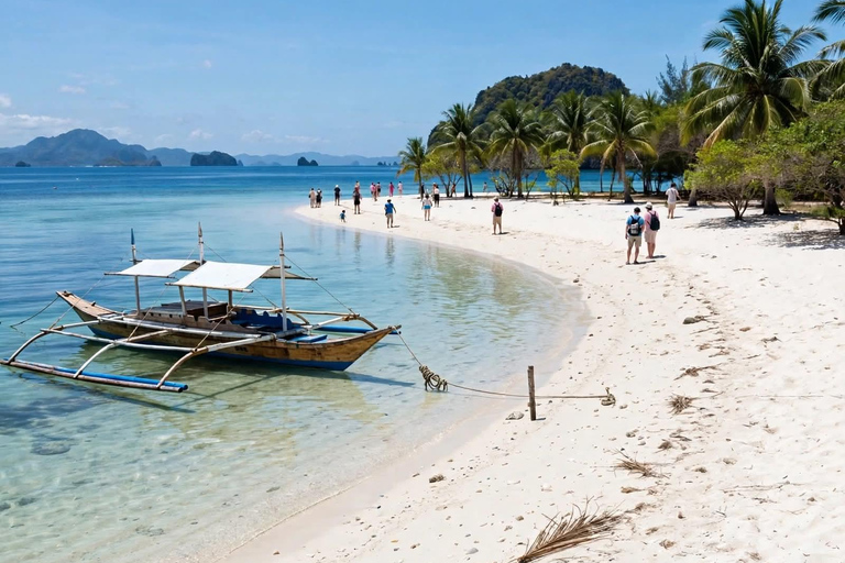 Coron: Reefs & Wrecks Snorkeling Tour with Lunch