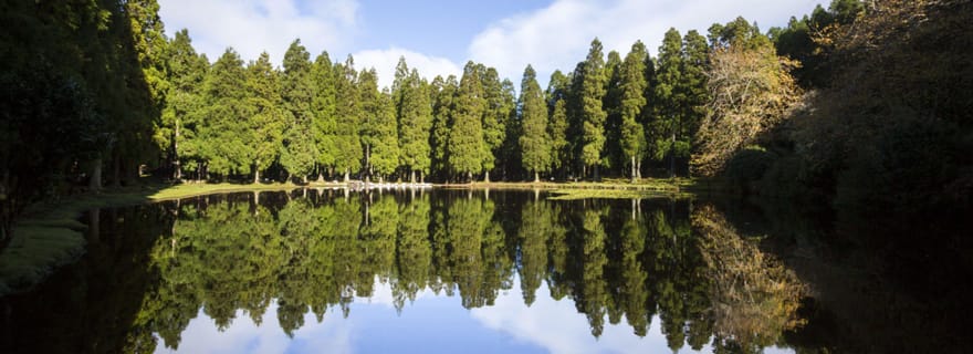 Visite d'une demi-journée - Itinéraire de lave d'Algar do Carvão