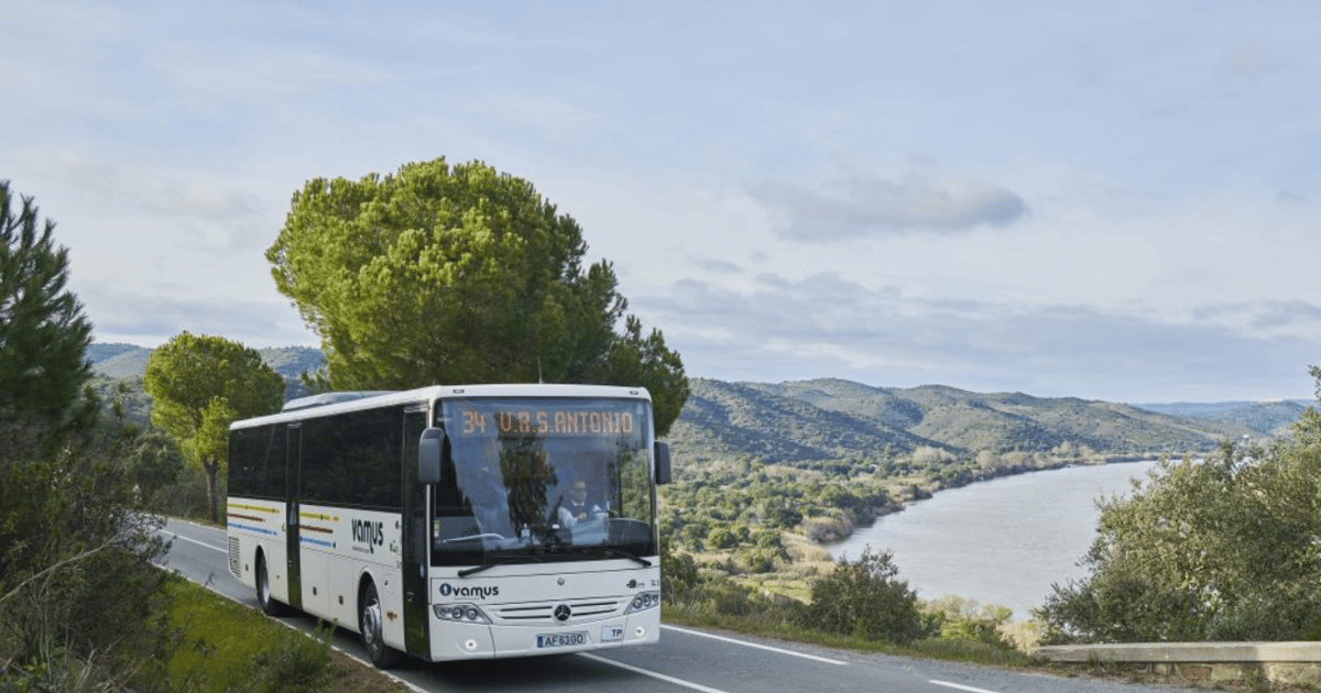 Faro Luchthaven (FAO): Gedeelde Albufeira Bus Transfer enkele reis ...