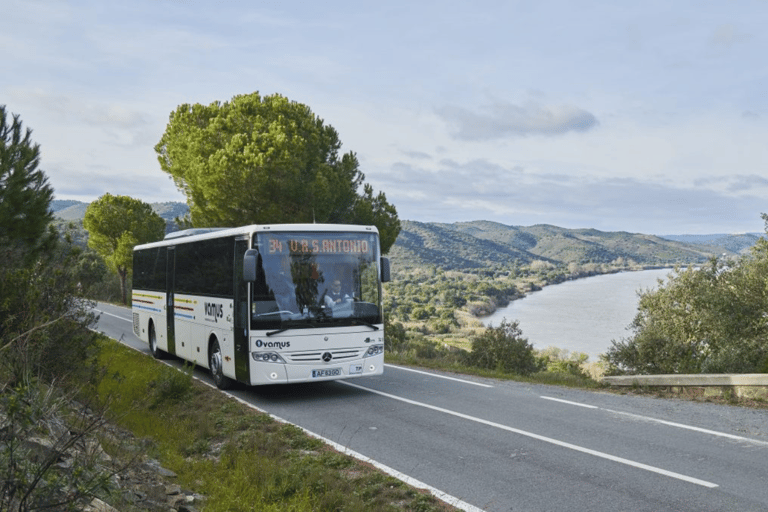 Aéroport de Faro : Transfert en bus confortable vers/depuis LagosSimple de Lagos à l&#039;aéroport de Faro