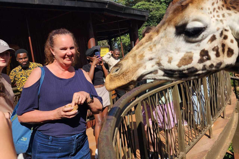Nairobi National Museum, Snake Park & Giraffe Centre Tour