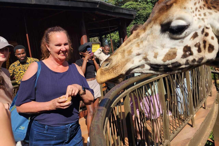 Nairobi National Museum, Snake Park & Giraffe Centre Tour