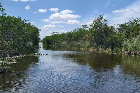 Miami to Everglades Small Group Max 12 Half-Day Tour Half-Day Tour