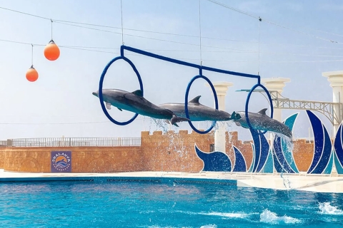 Alanya Dolphin Show Tour - Sealanya Dolphinpark