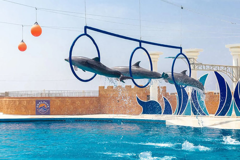 Alanya: Sealanya Dolphinpark Dolphin Show Tour