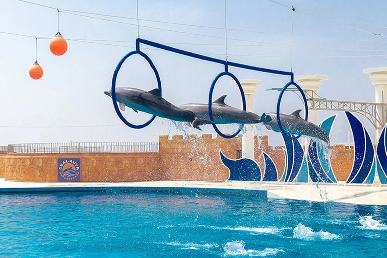 Alanya Dolphin Show Tour - Sealanya Dolphinpark