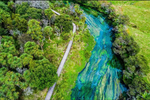 Auckland to Rotorua Private Custom Tour & Hotel Pickup
