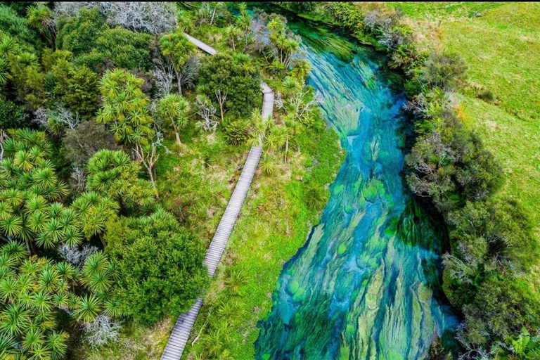 Auckland to Rotorua Private Custom Tour & Hotel Pickup
