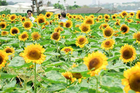 Taichung Nature Tour (Day Trip) - From Taipei Taichung Nature Tour (Day Trip) - Standard Van