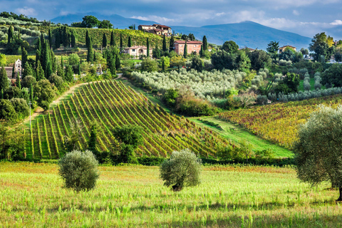 Santa Barbara: Horseback Riding and Wine Tasting Tour