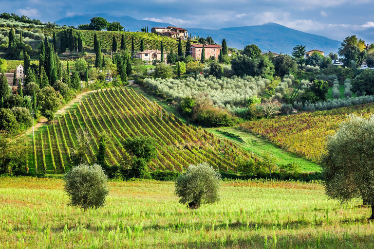Santa Barbara: Horseback Riding and Wine Tasting Tour