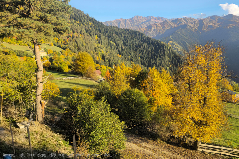 Tbilisi: 7-Day All-Inclusive Tour to Svaneti & Ushguli