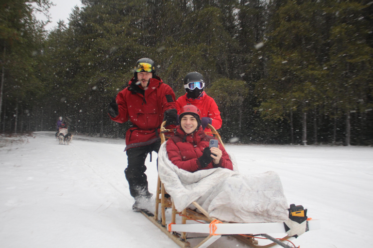 Mont-Tremblant: Dogsledding Nordic Adventure