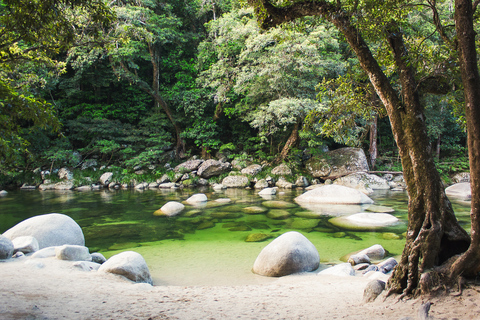 Daintree, Wąwóz Mossman i Cape Tribulation z rejsem i lunchWycieczka z Cairns z rejsem wśród krokodyli