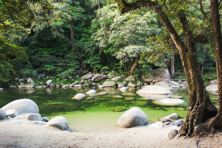 Daintree, Wąwóz Mossman i Cape Tribulation z rejsem i lunchWycieczka z Cairns z rejsem wśród krokodyli