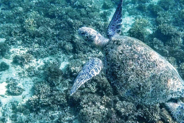 Panama City: 2 Day Coiba and Santa Catalina Tour